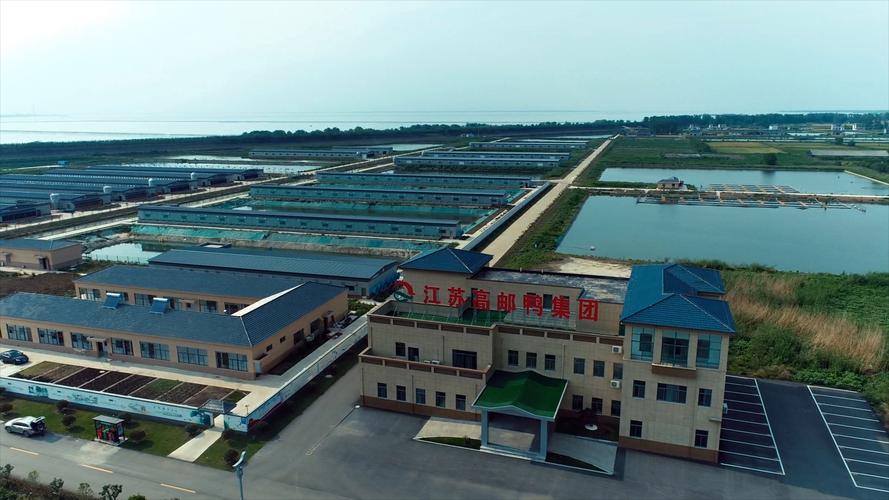 品种改良,屠宰,食品研发,初级农产品加工及销售,鸭种苗,食品,日用百货